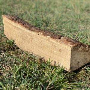 Bois de chauffage : chêne